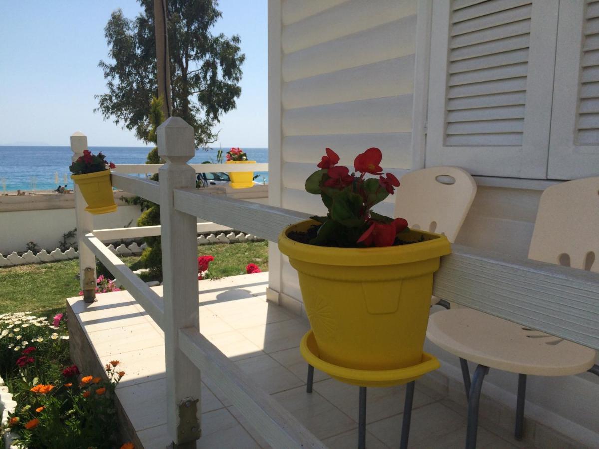Villa Vela E Bardhe Dhërmi Exterior foto